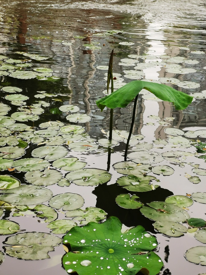 静谧世界