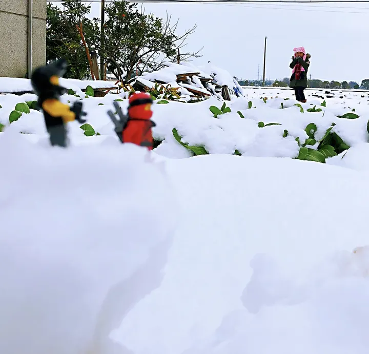 雪地