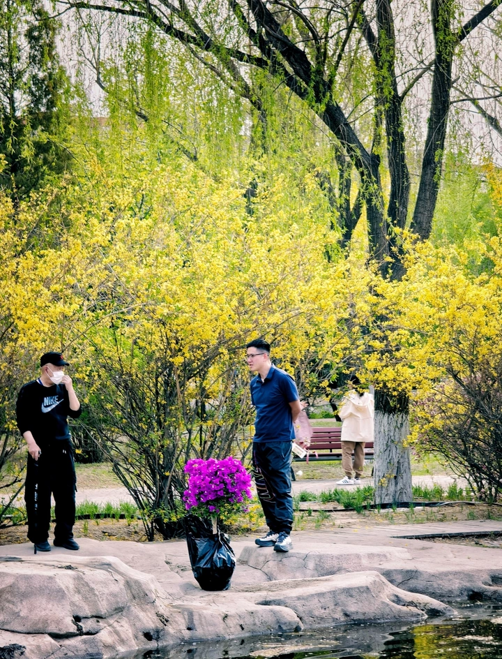 一束花