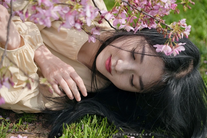 春来无事，只为花忙