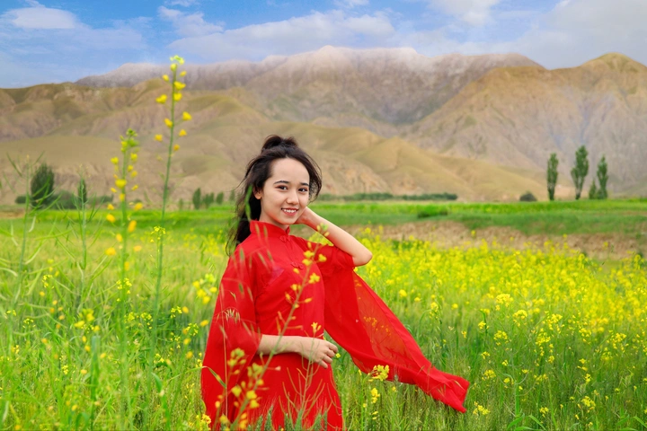 昆仑山下油菜花开
