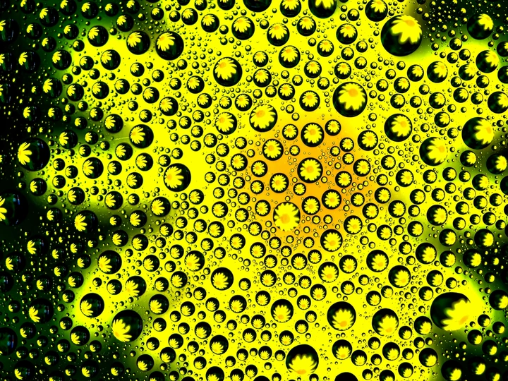 水珠花
