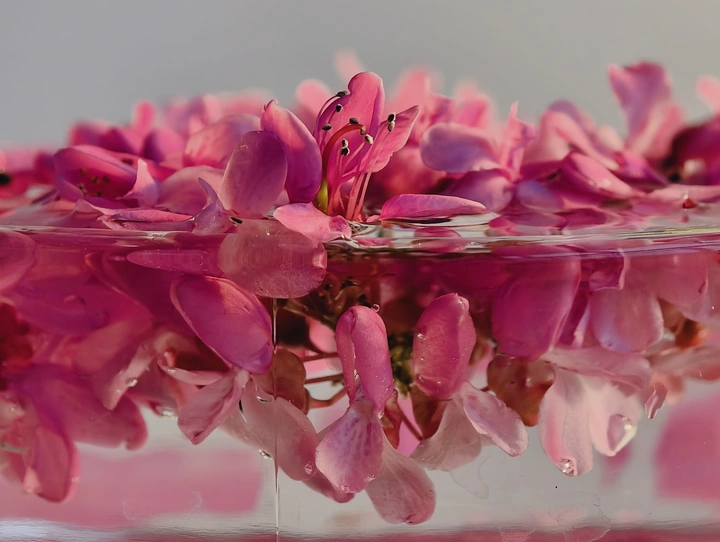 水中花影