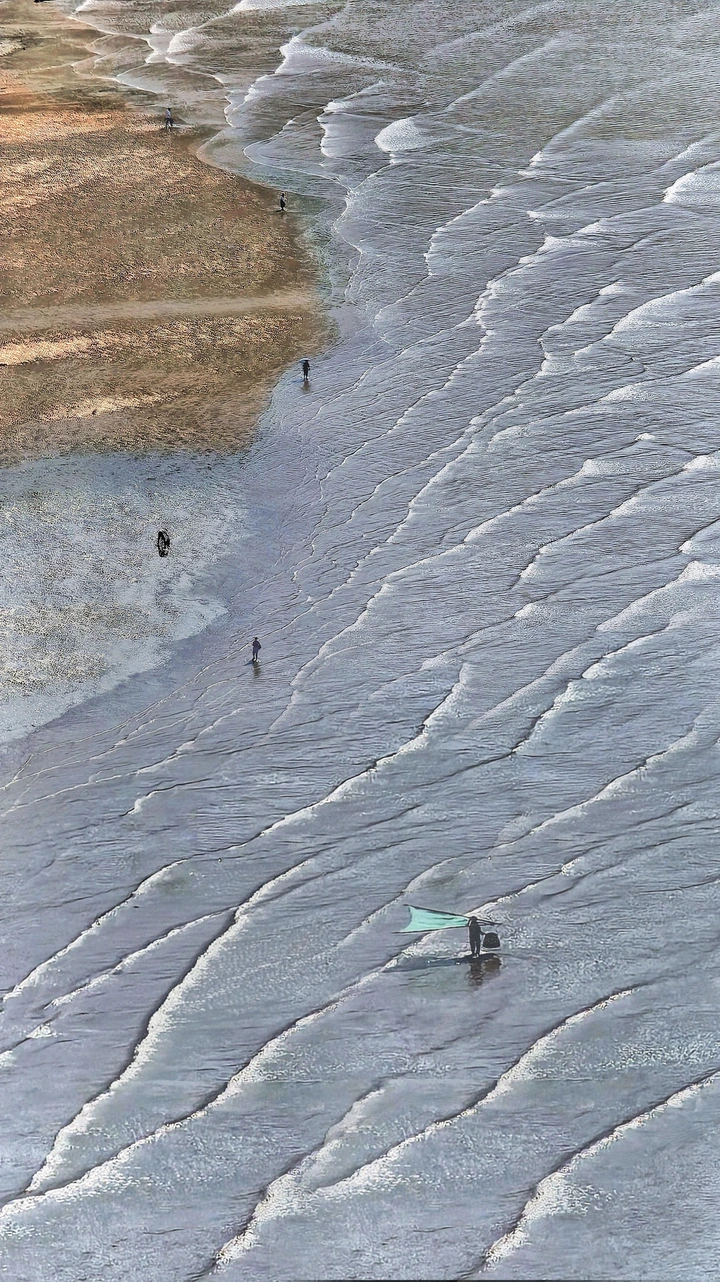 赶海
