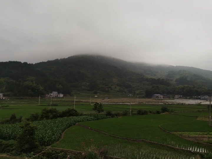 田园风光