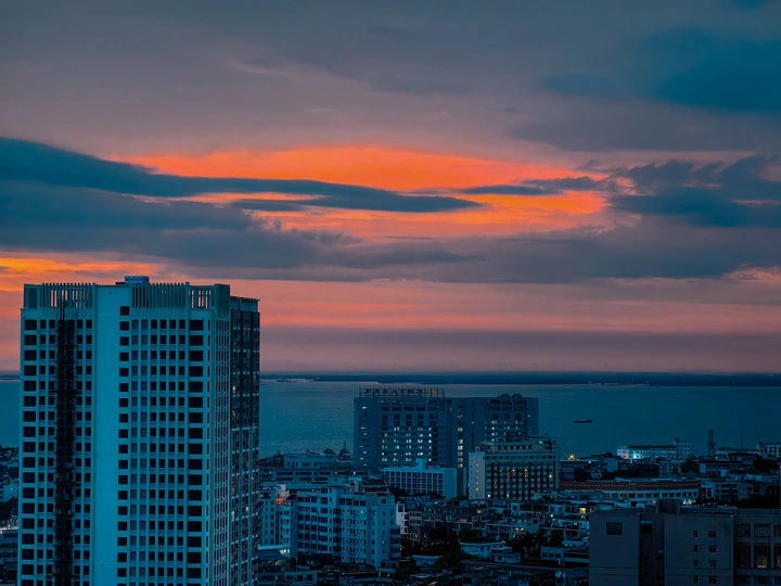 夕阳红