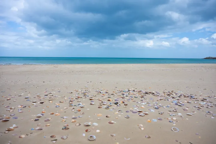 摩洛哥🇲🇦贝壳沙滩