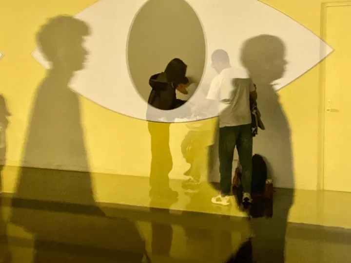 看与被看