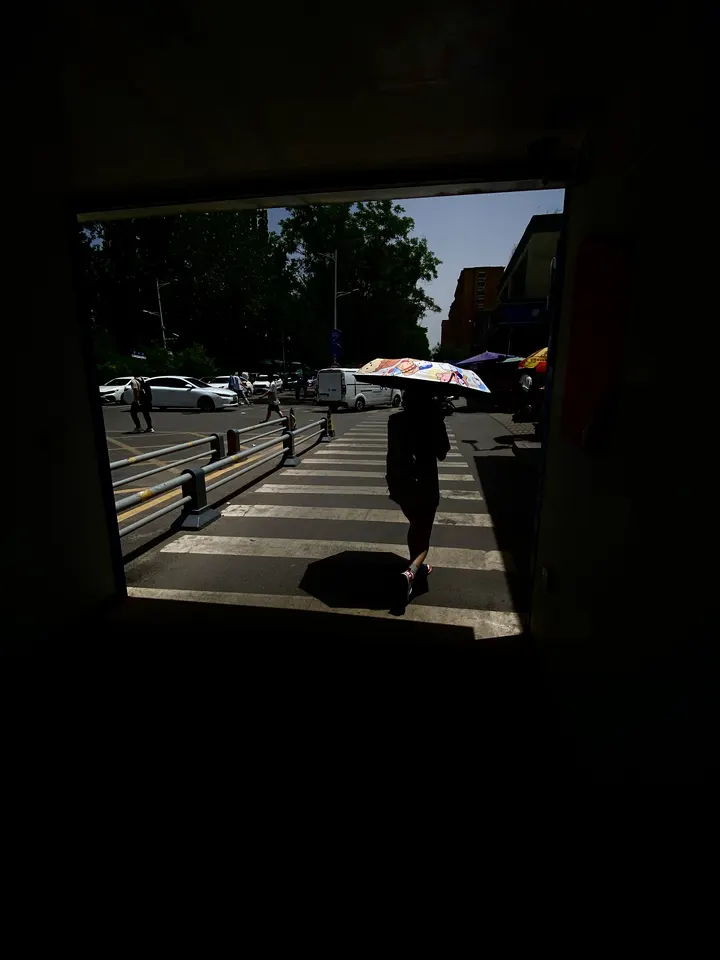入画