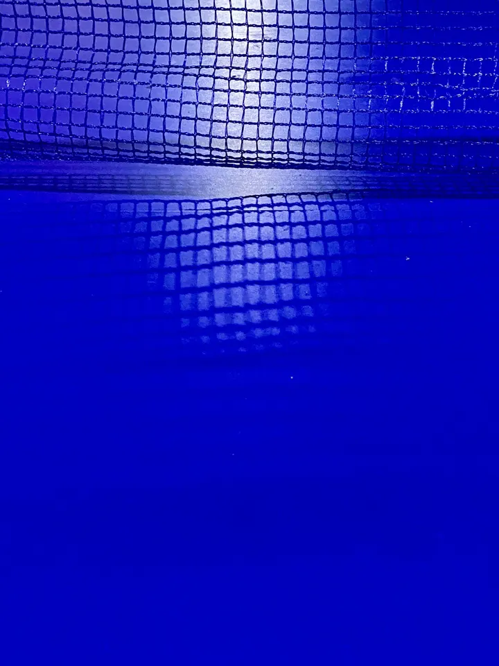 网