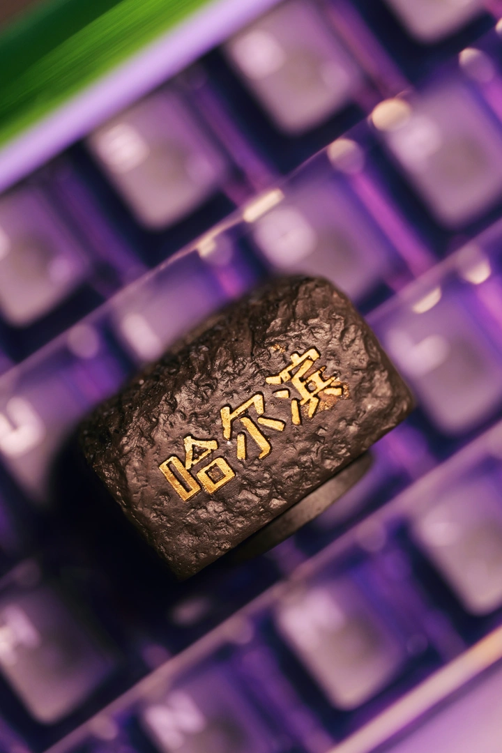 哈尔滨之行买到的有意思的冰箱贴