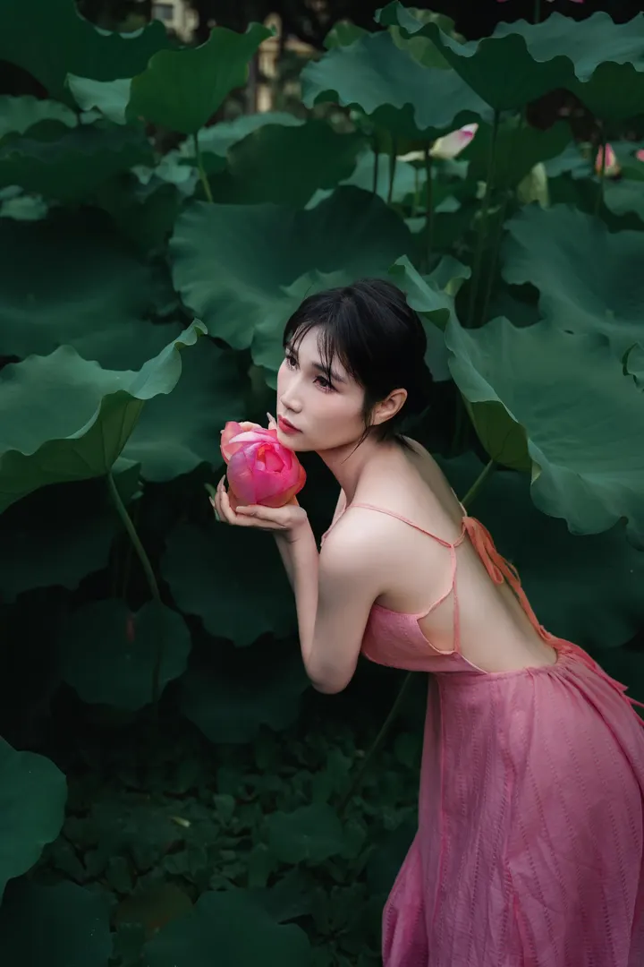 荷花美人～