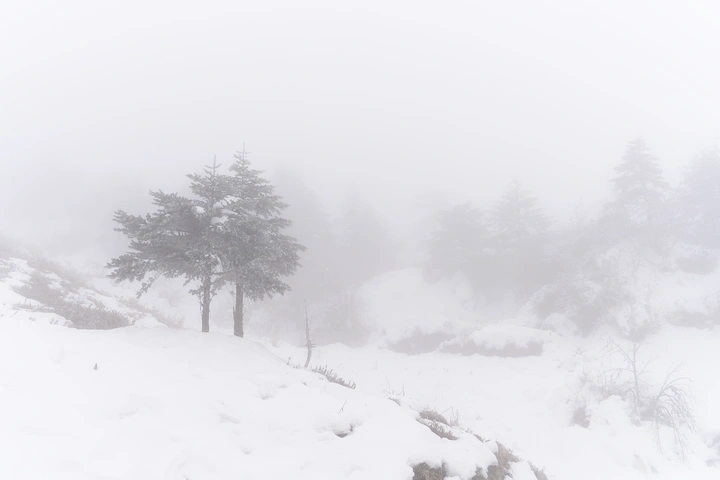 雪雾中的山林子：