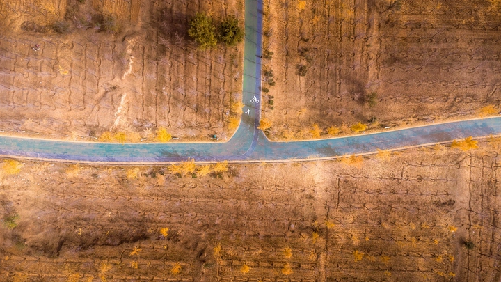 延伸道路上的分岔路