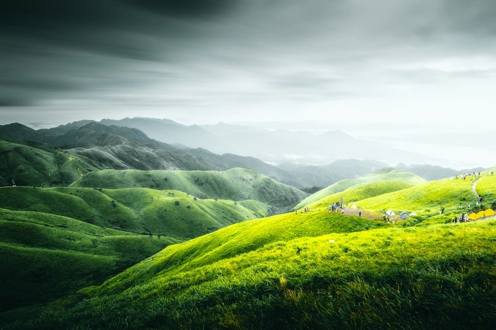 这坡草太绿，他们扎堆歇脚