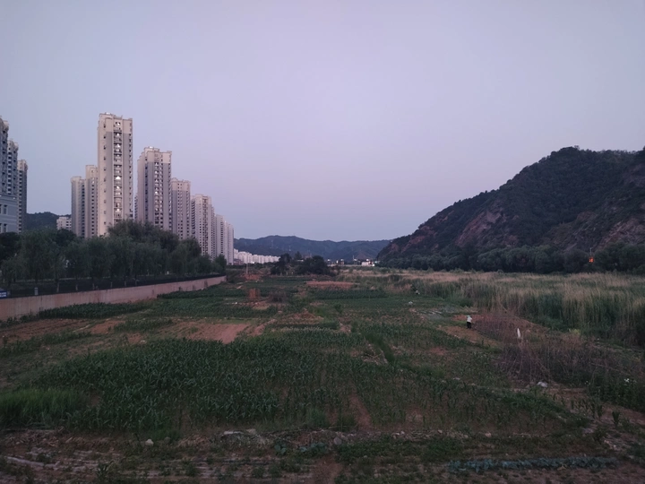 人与自然