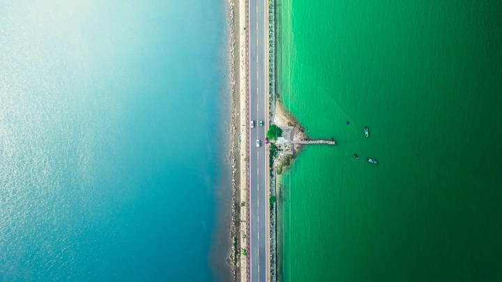 双色海