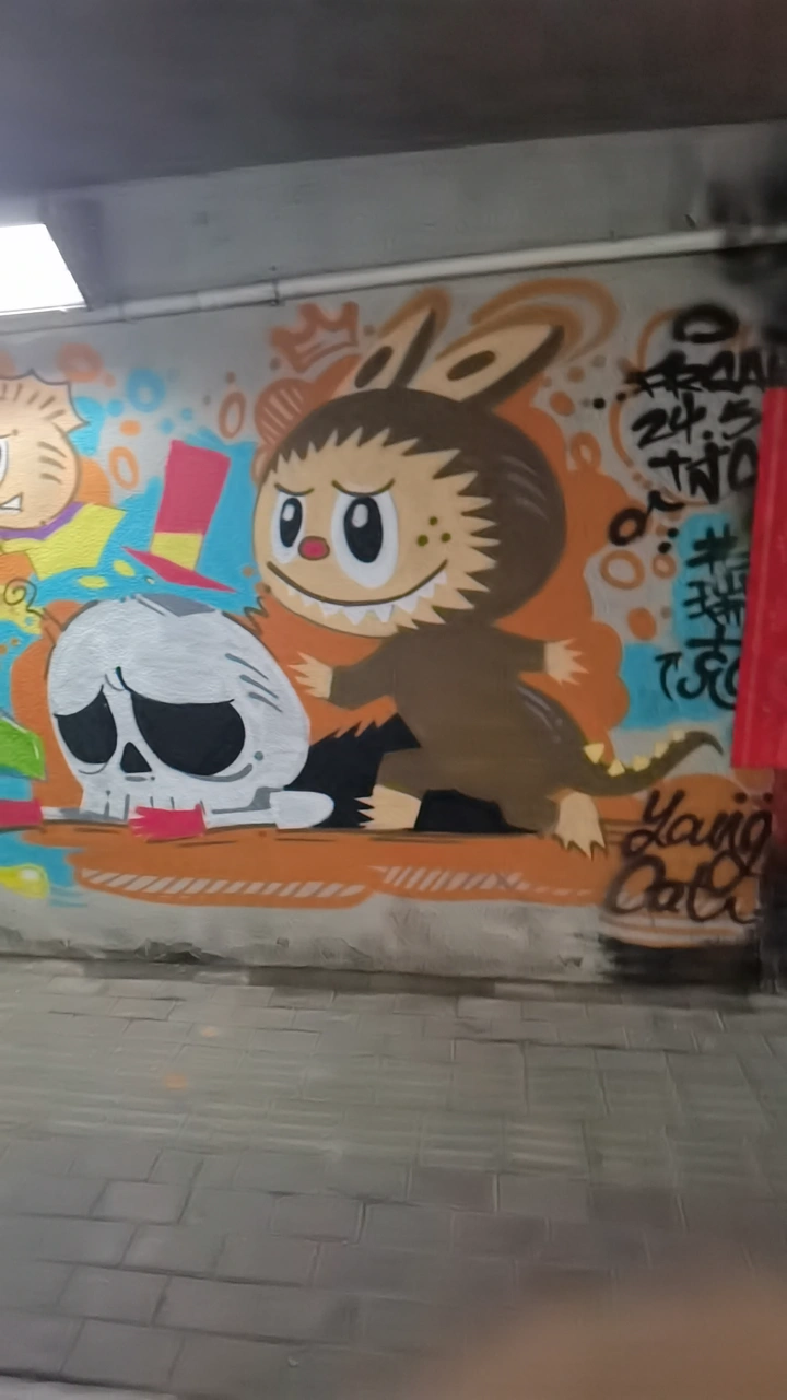 李公楼桥地下通道涂鸦