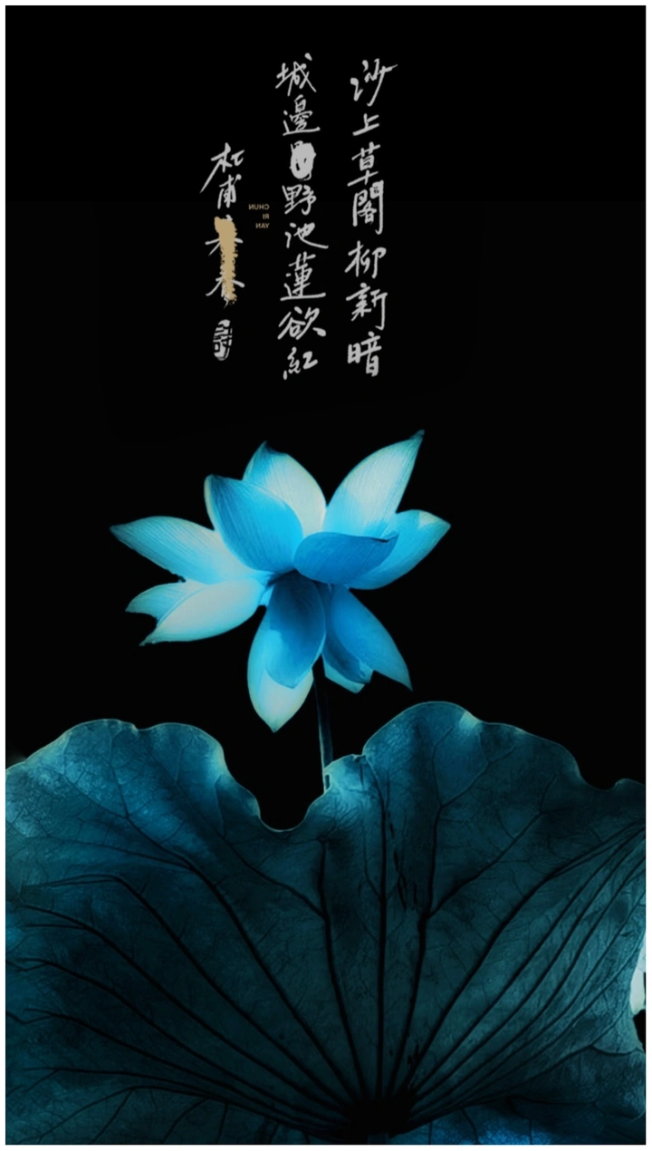 叶枝清雅绿，一花分两色。