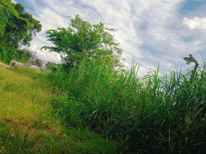 灵魂的氧气