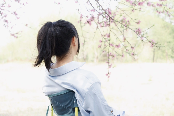 赏花