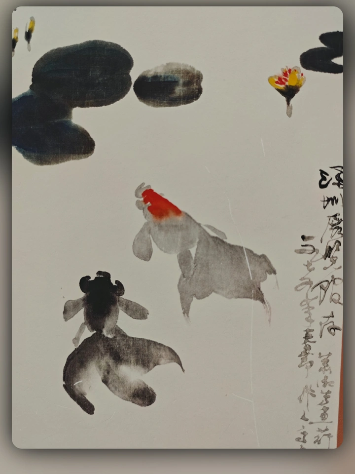 金鱼画