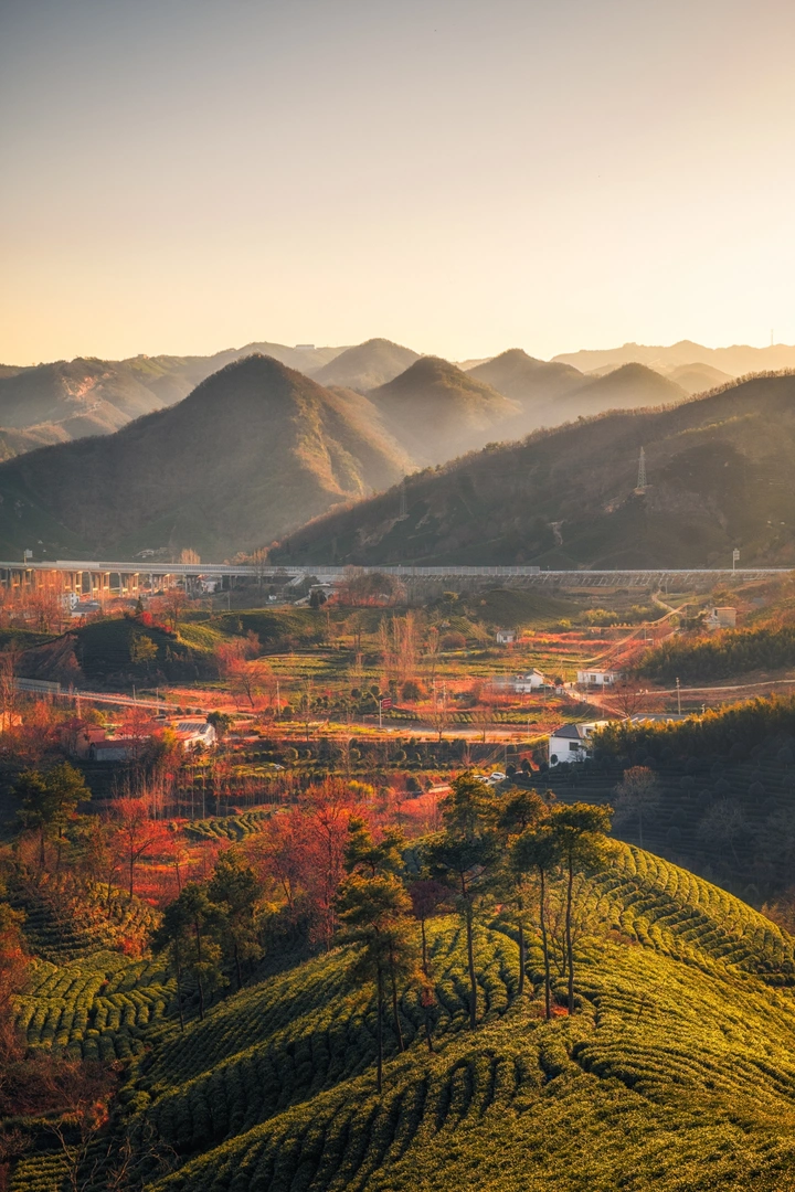 信阳文新茶村