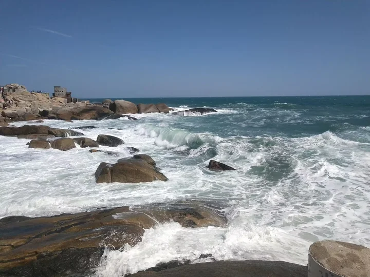 海