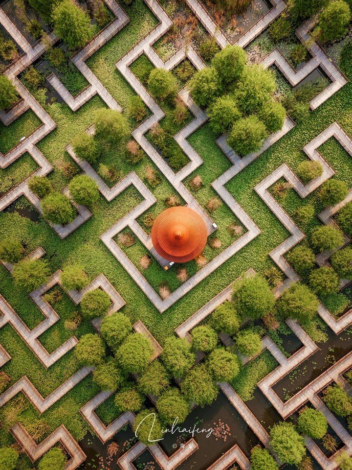 迷宫