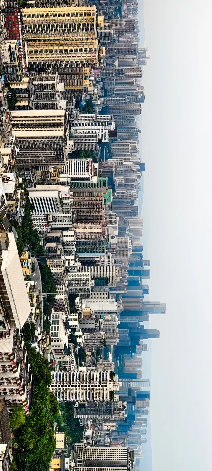 重庆森林