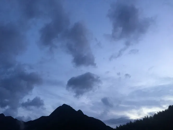 迎风飘扬