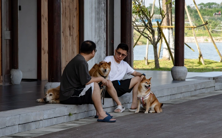 【闲得几张】来几张狗狗