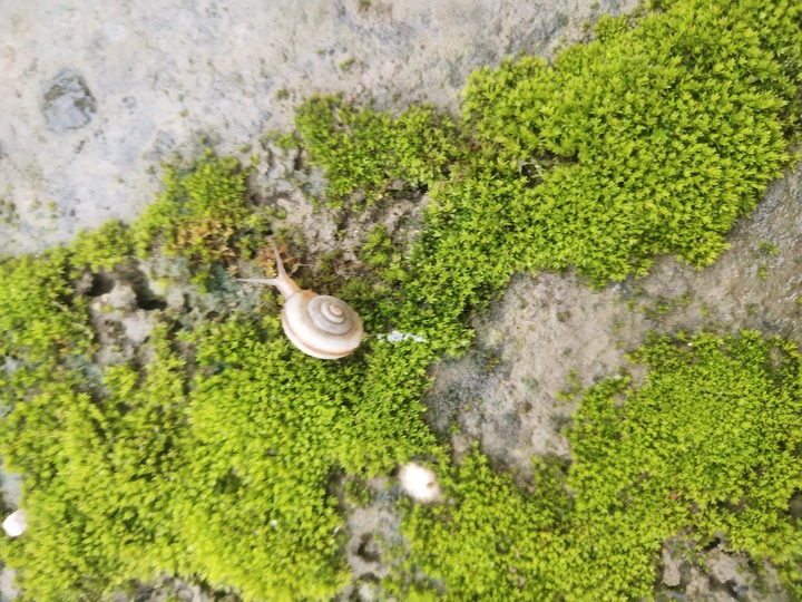 大自然