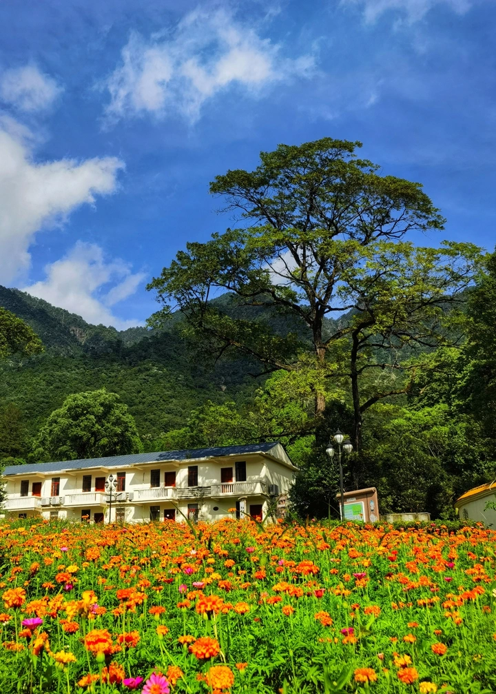 行走南岭