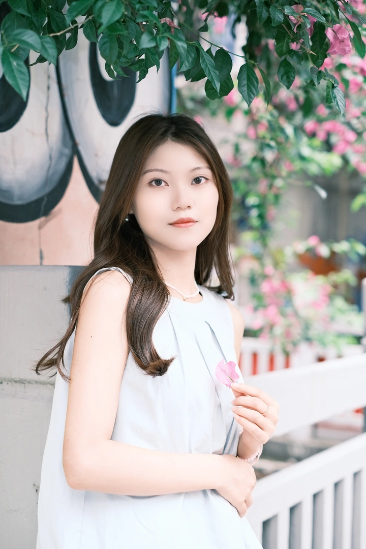 盛开的三角梅