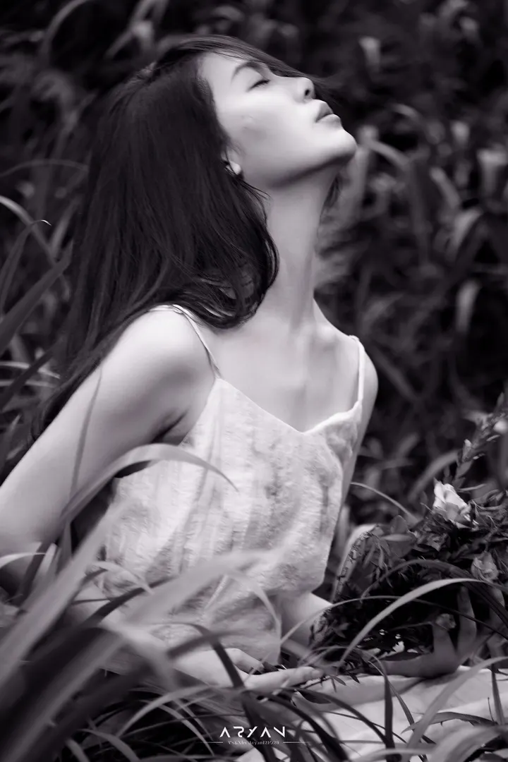 森林精灵🧚‍♀️