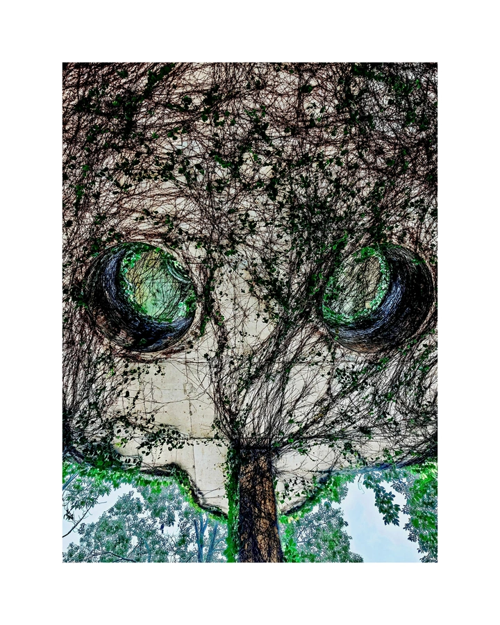 寻找生活中的每一抹亮色 🌳