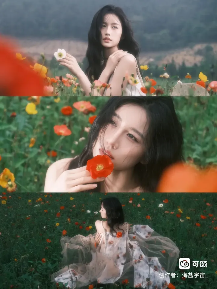 “好明媚的虞美人”