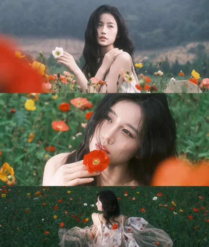 “好明媚的虞美人”