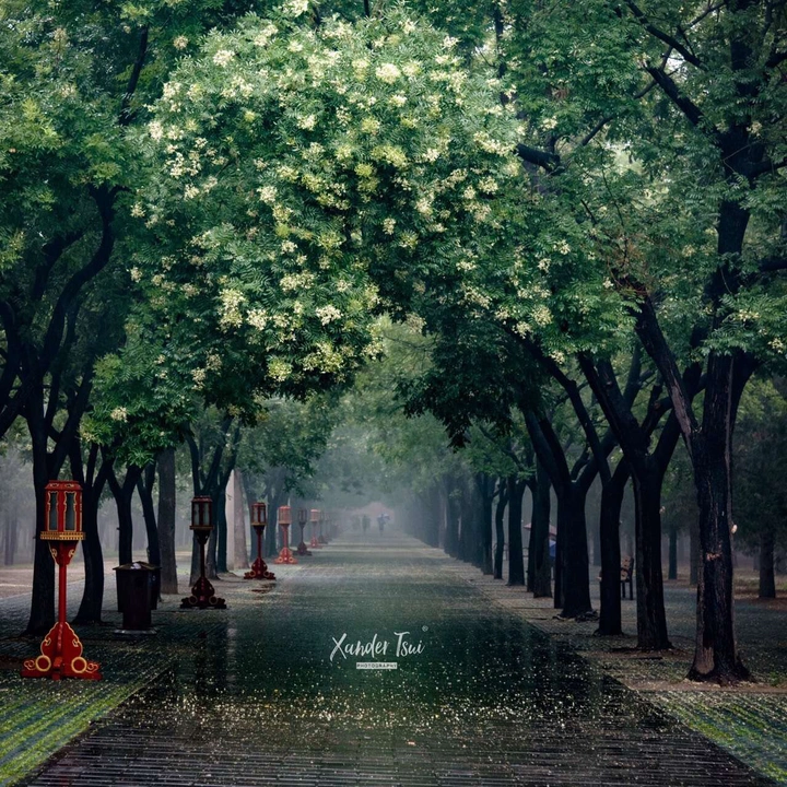 下雨天了怎么办