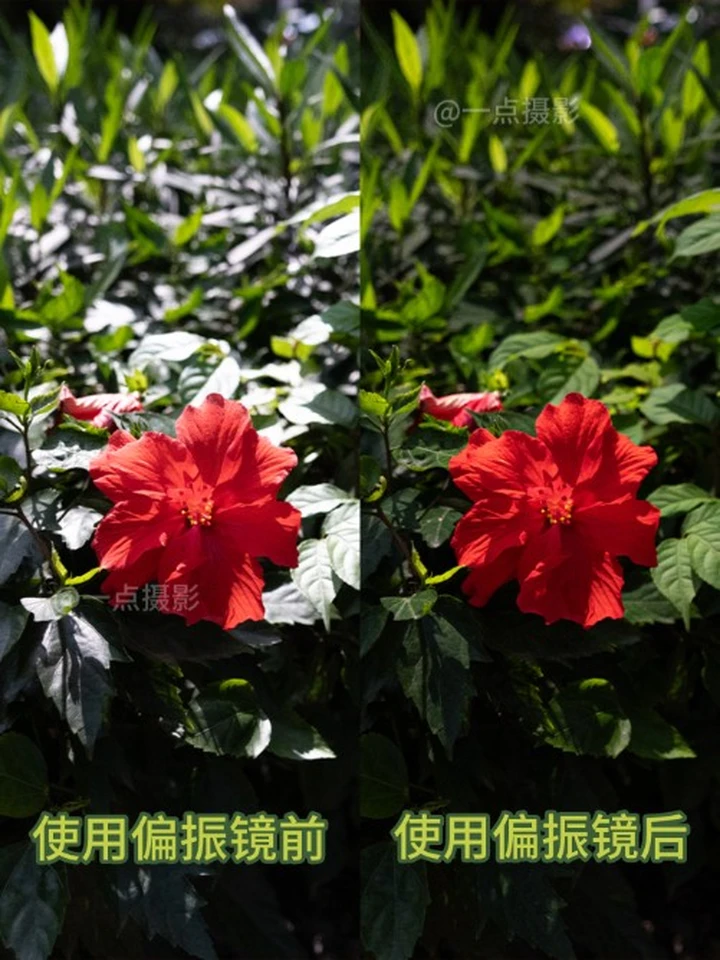 后悔没早点发现偏振镜是摄影神器！