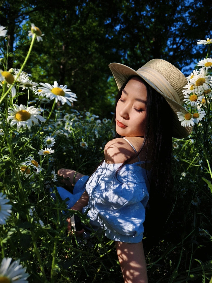 小雏菊的春天