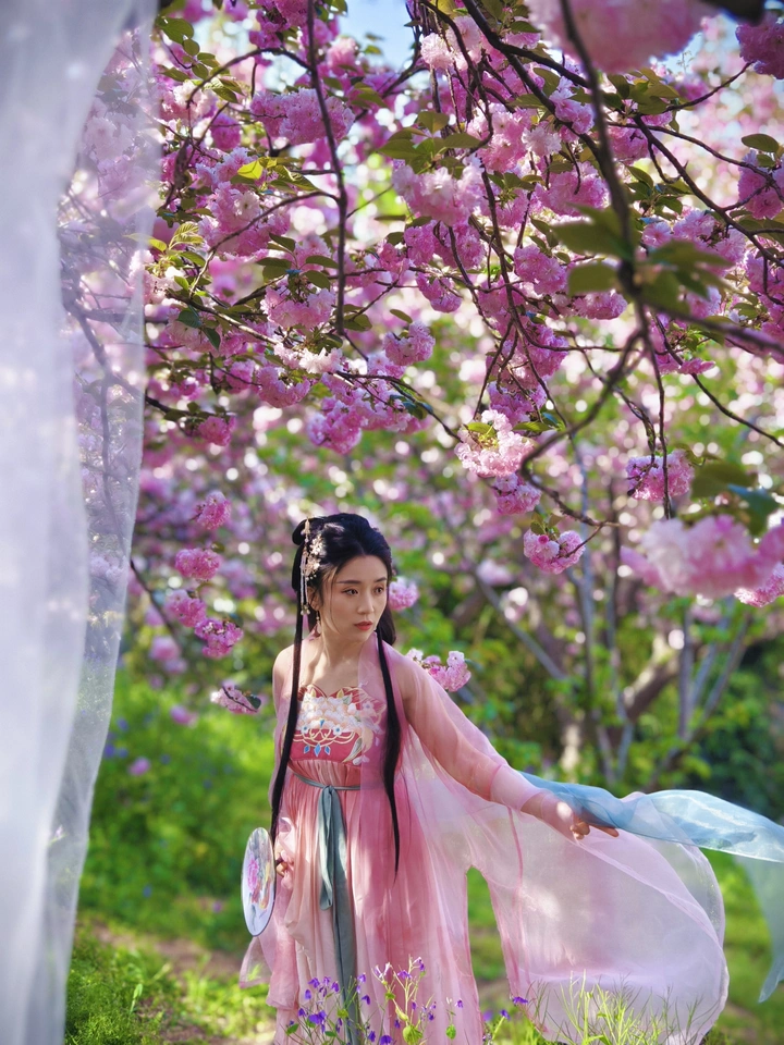 汉服与樱花