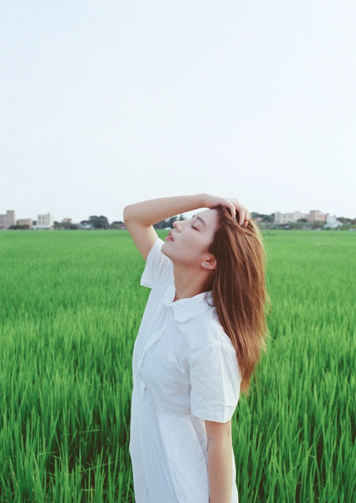 胶片记忆·稻田