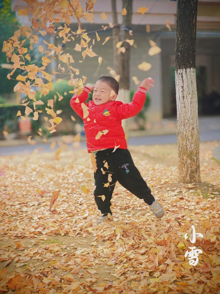 红叶童趣·迎小雪