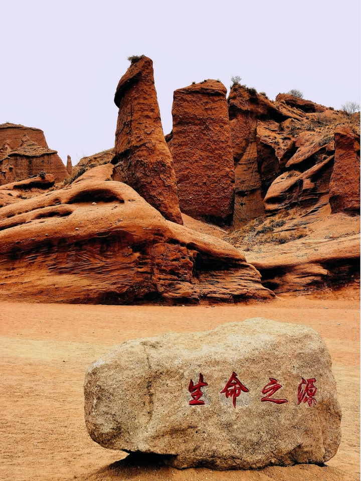 生命之源