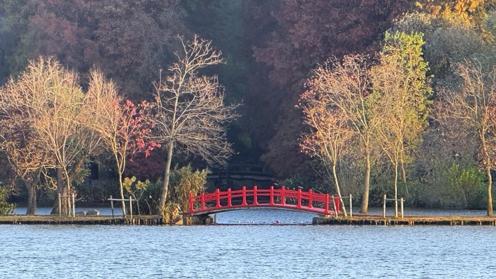 南京植物园秋景
