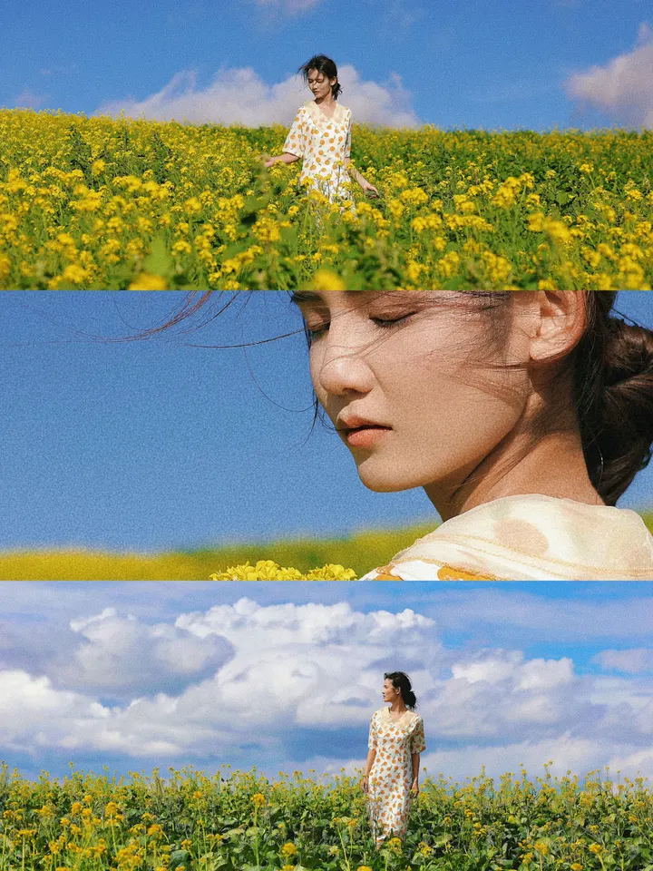 夏日金黄梦：油菜花田写真集”