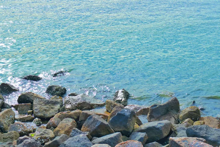 夏日海边