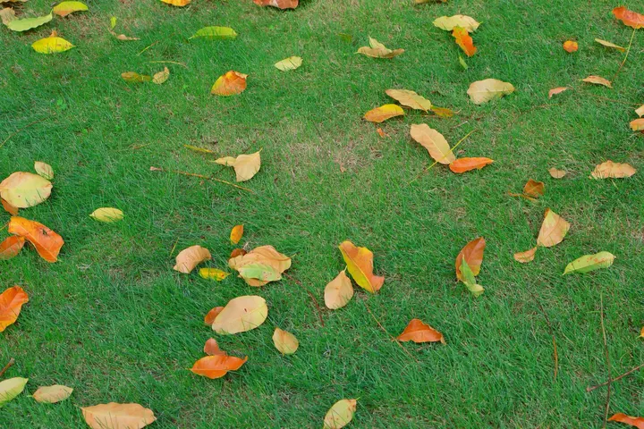 在夏天，在海边